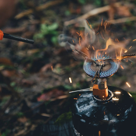 FMS -116T Titanium Gas Stove