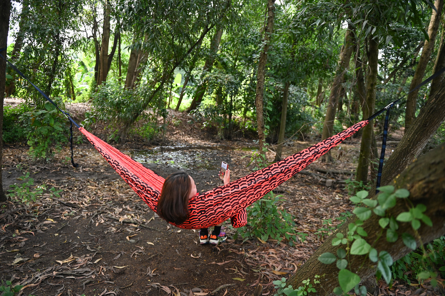 HAMMOCK LIMITED EDITION