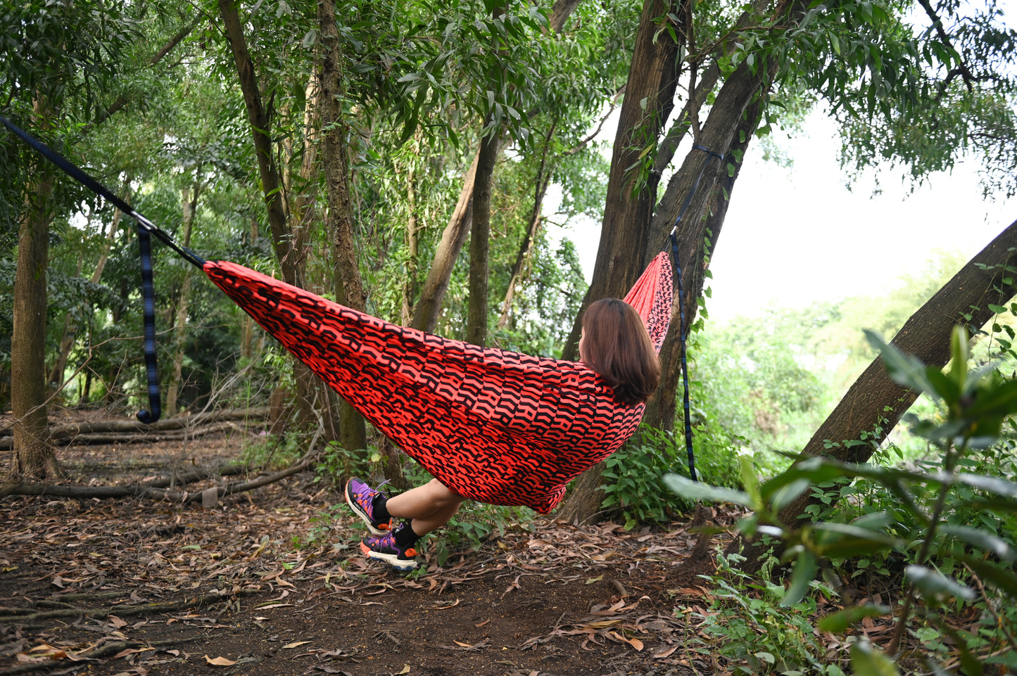 HAMMOCK LIMITED EDITION