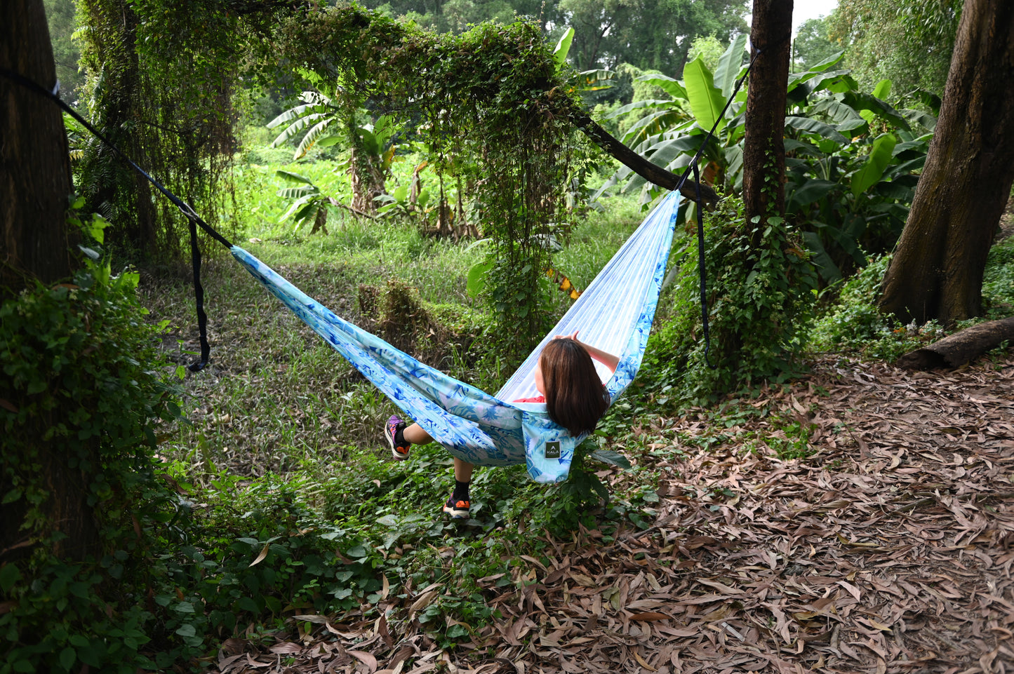 HAMMOCK LIMITED EDITION